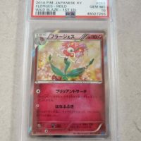 PSA 10 Pokemon Card XY Holo Rare Wild Blaze Florges 053/080 R XY2 1st Japanese